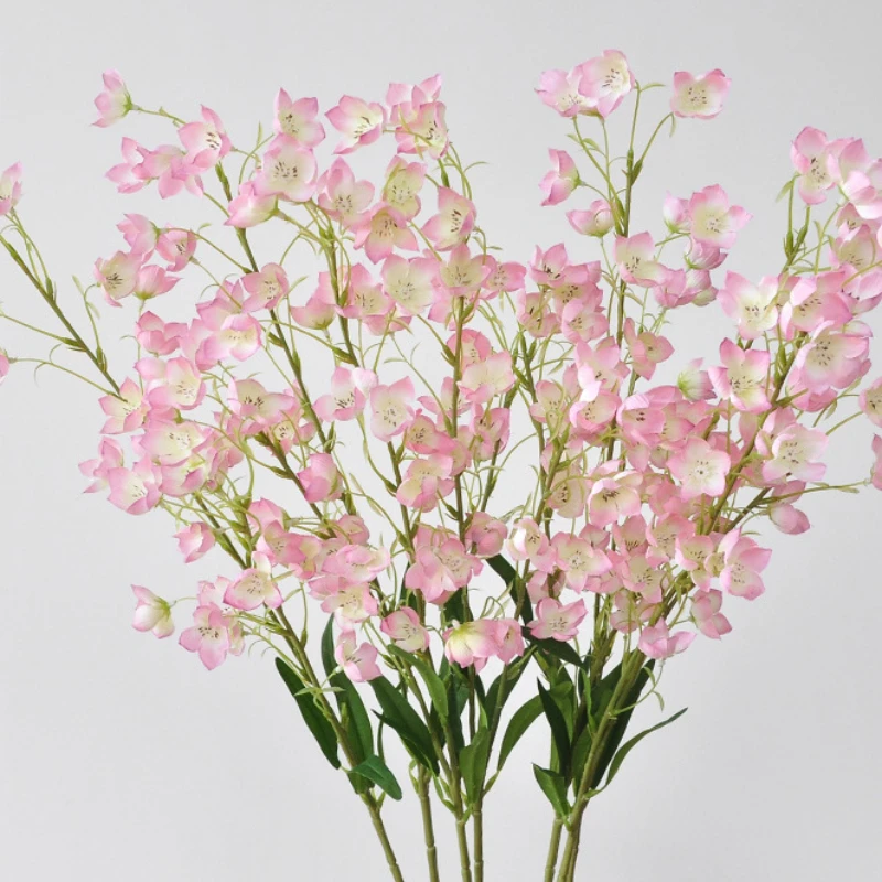 95 ซม.2 Forked Bell Orchid ประ - Sustainable Living Guide บทวิจารณ์และราคา