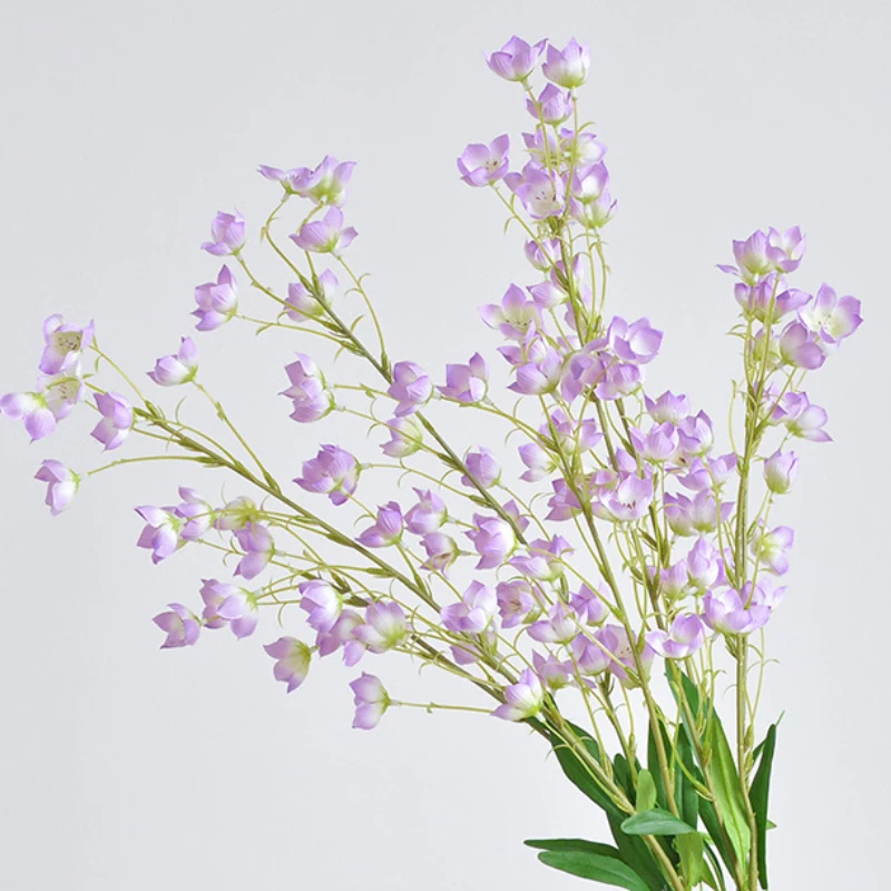 95 ซม.2 Forked Bell Orchid ประ - Sustainable Living Guide บทวิจารณ์และราคา